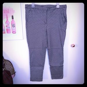 Printed Skinny Pant